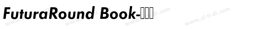 FuturaRound Book字体转换